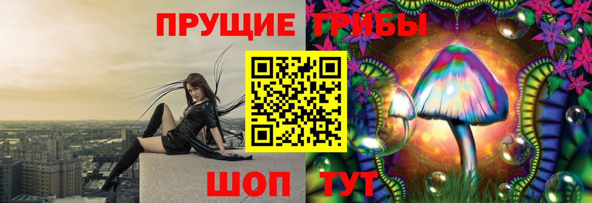 Псилоцибиновые грибы мухоморы Моздок
