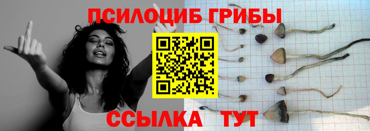 Псилоцибиновые грибы MAGIC MUSHROOMS  Вход с VPN  Моздок  Псилоцибиновые грибы ЛСД 