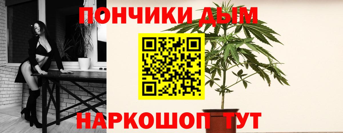 Каннабис конопля Моздок